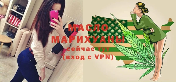 индика Арсеньев