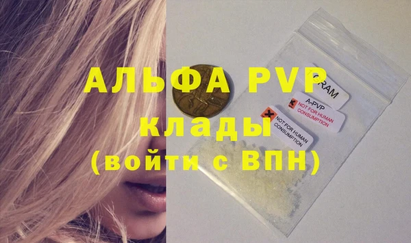 индика Арсеньев