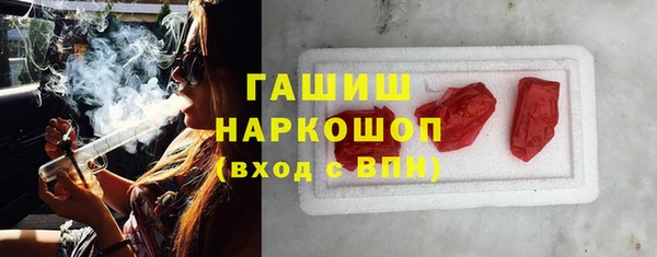 индика Арсеньев